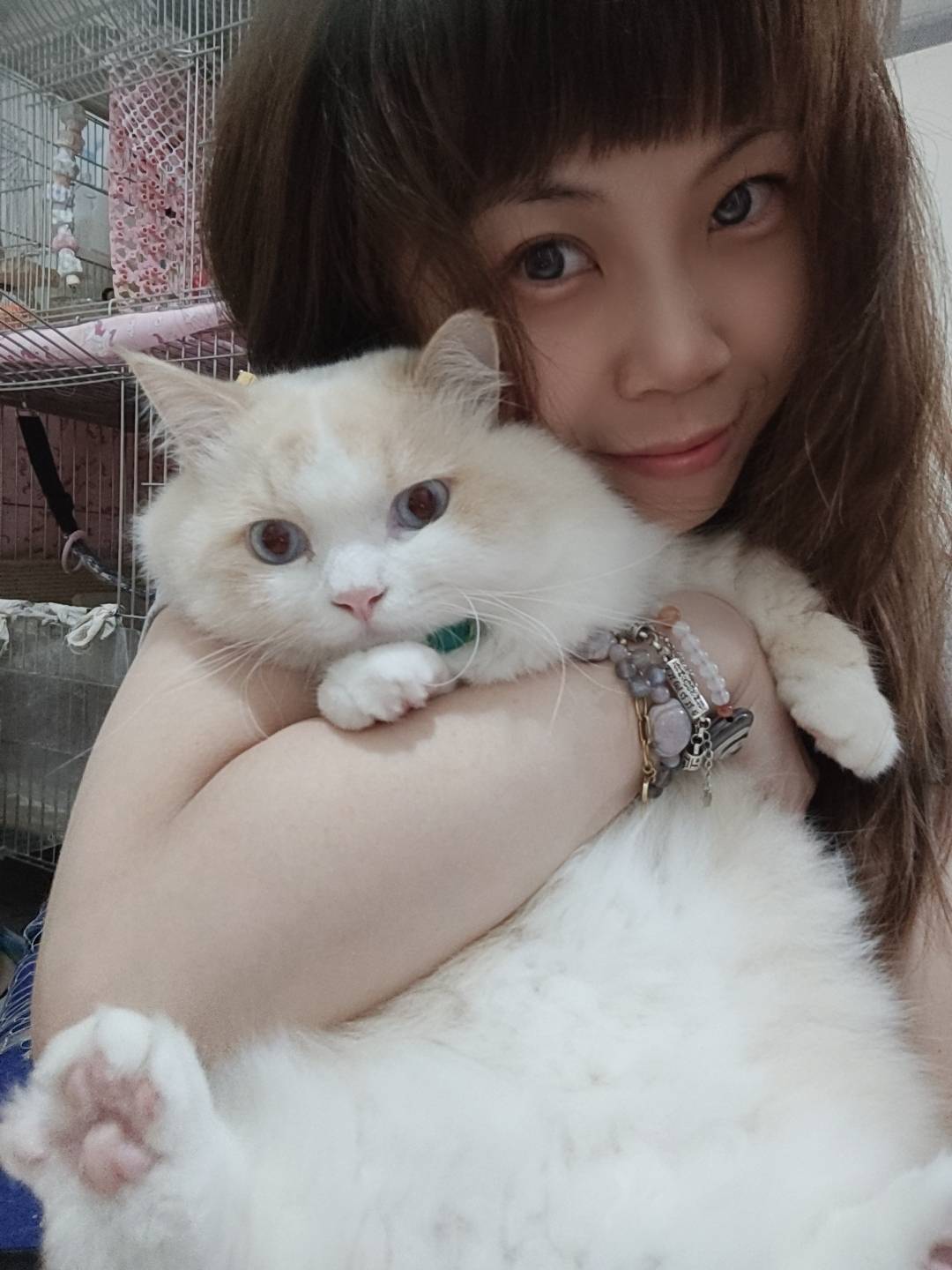 田芸綺